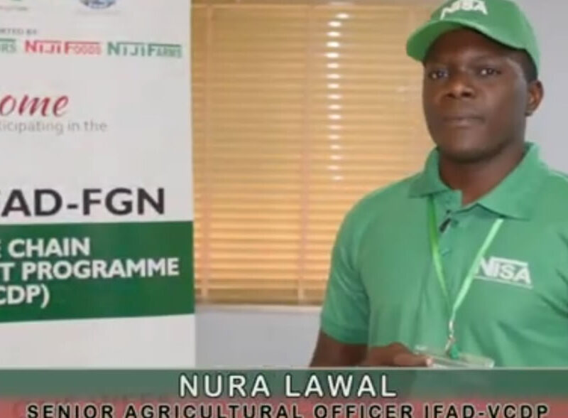 IFAD-FGN-Value-Chain-Development-Programme-nijigroup