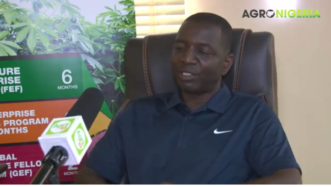 niji-media-interview