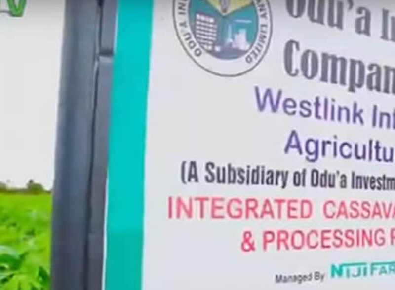 odua-investment-company-farm